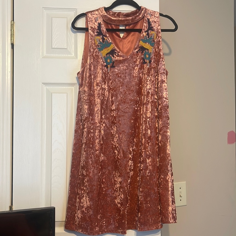 Velvet dress NWT